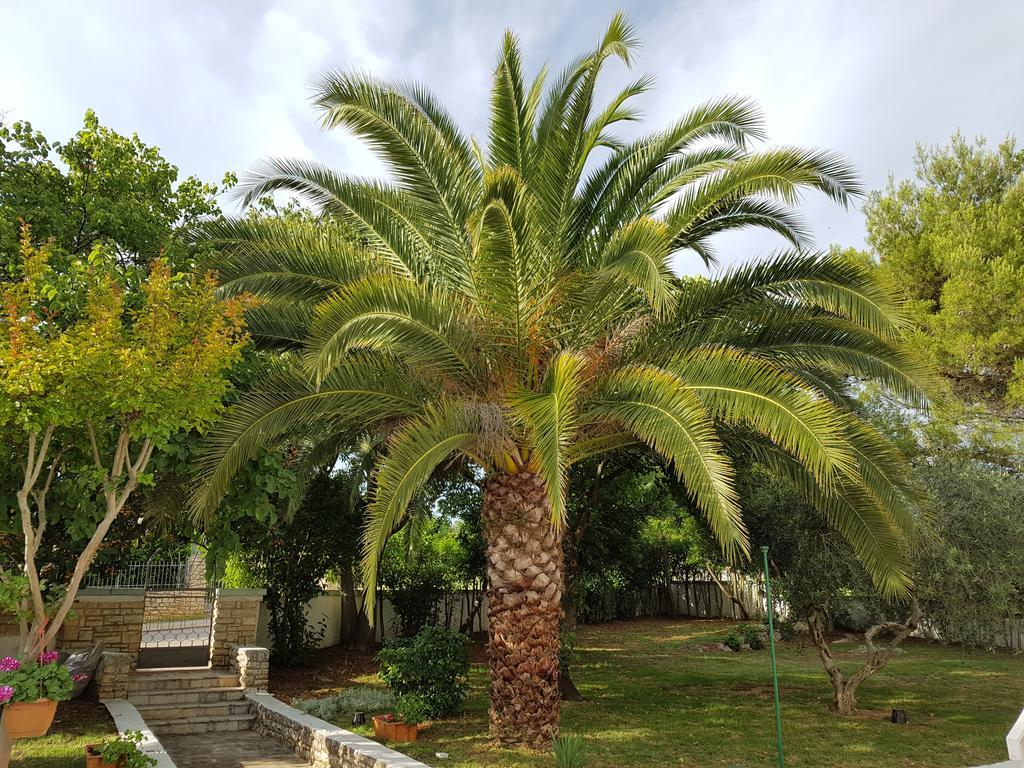 Tar-Vabriga Villa Rosa With Yard And Children'S Playground מראה חיצוני תמונה