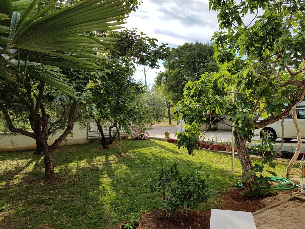 Tar-Vabriga Villa Rosa With Yard And Children'S Playground מראה חיצוני תמונה