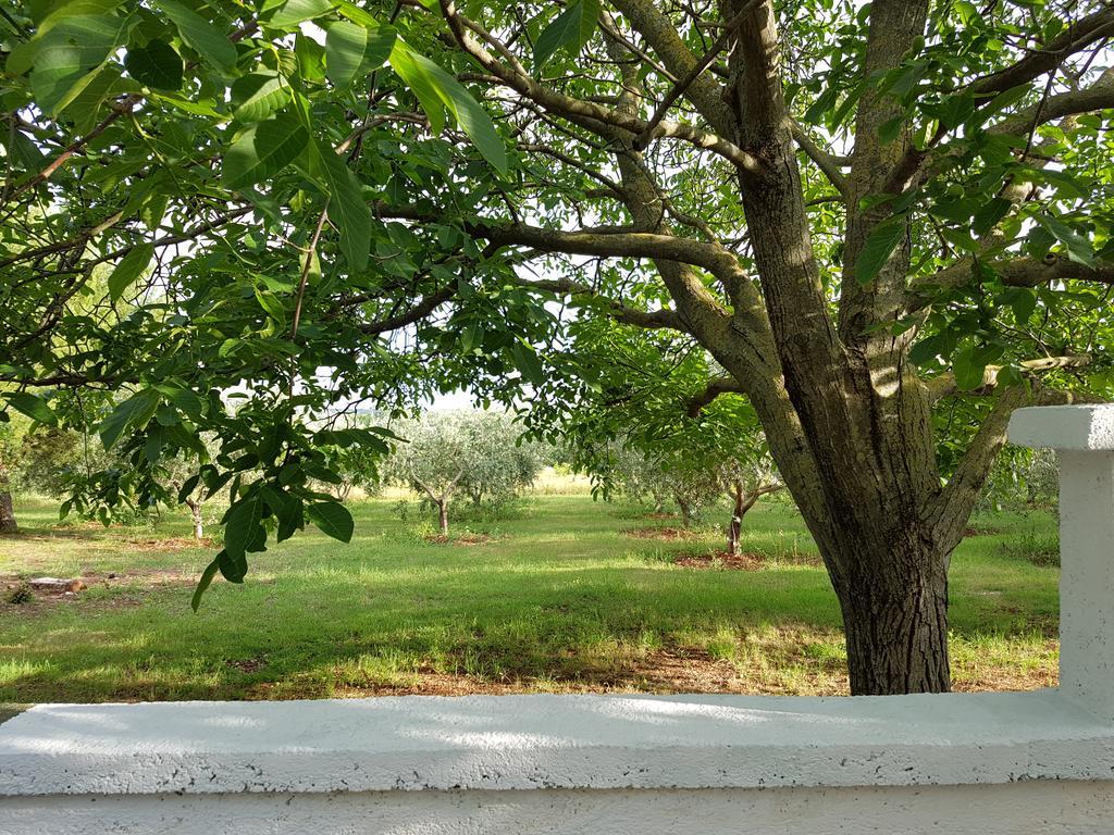 Tar-Vabriga Villa Rosa With Yard And Children'S Playground מראה חיצוני תמונה