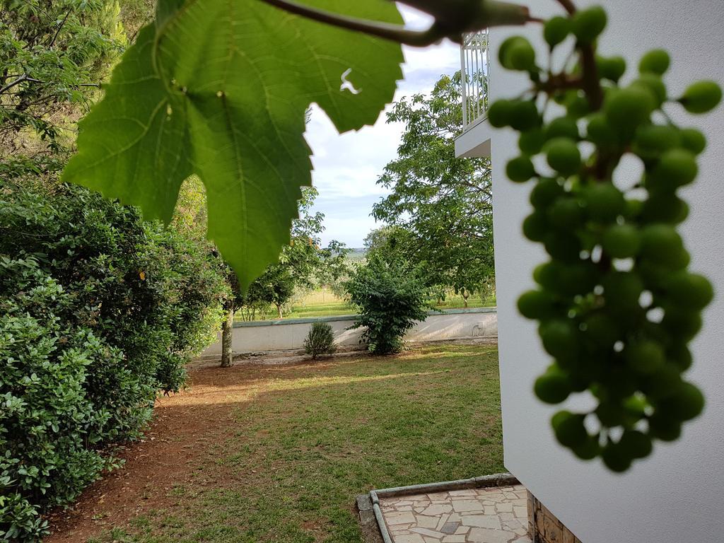 Tar-Vabriga Villa Rosa With Yard And Children'S Playground מראה חיצוני תמונה