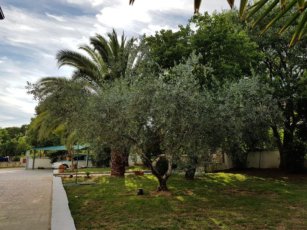Tar-Vabriga Villa Rosa With Yard And Children'S Playground מראה חיצוני תמונה